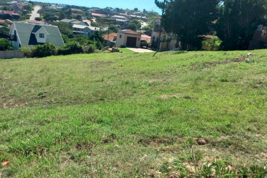 0 Bedroom Property for Sale in Dana Bay Western Cape